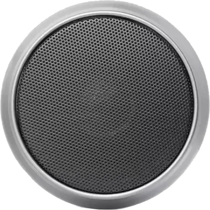 اسپیکر قابل حمل Riversong مدل Jazz L8